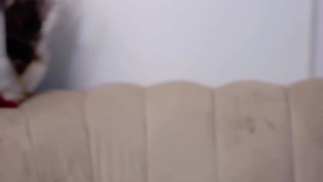 2024-11-25-151809 anggunn ID: 1791772340678291458 Hot51