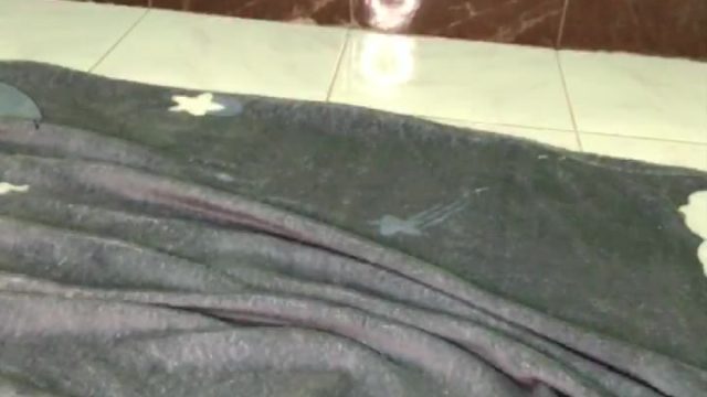 2024-08-26-062654 Bokep Live