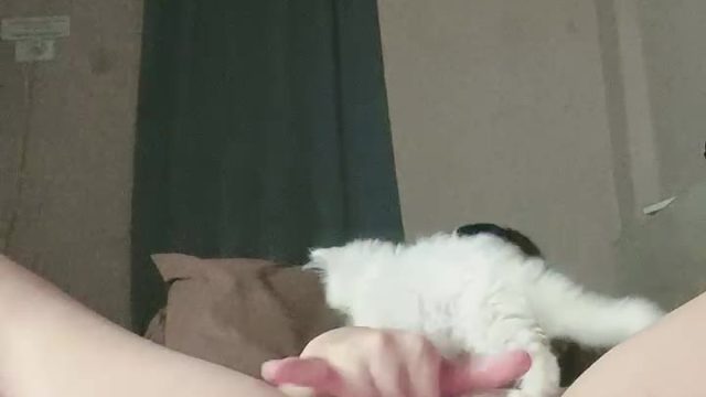 2024-12-05-135509 Bokep Live