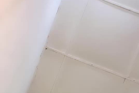 2025-02-26-153808 ℕ???? ID: 2774352 Papaya Live