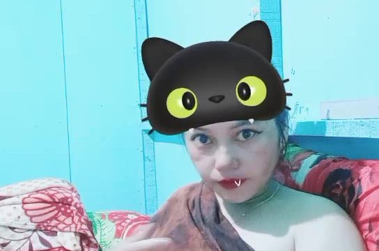 2024-10-17-152320 Bee ID: 3382658 Papaya Live