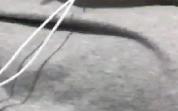 2024-07-03-160930 Bokep Live