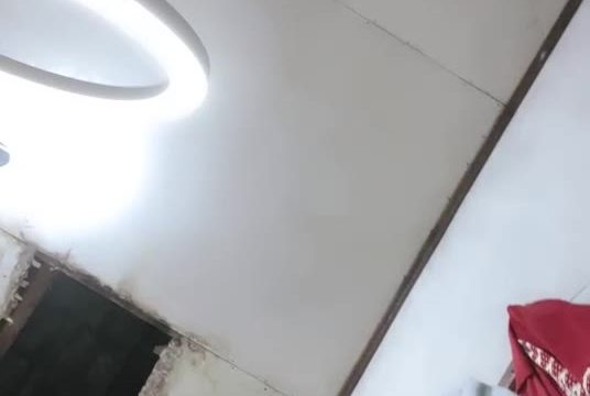 2024-11-22-010101 Jasmine Two ID: 4233593 Papaya Live