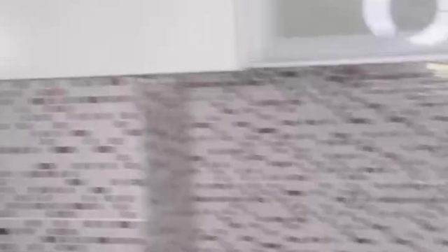 2024-07-23-110949 Monmonica124 ID: 1775774918184435713 Hot51