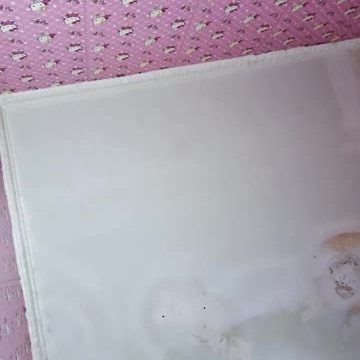 2025-02-20-080104 jessi06van ID 1888521654428672001 Hot51