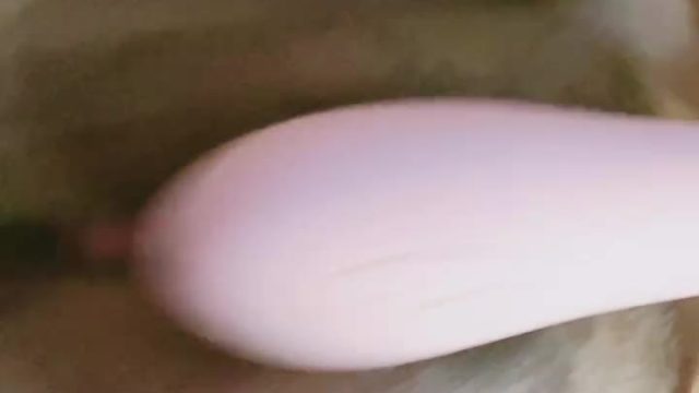 2024-08-28-054218 Bokep Live