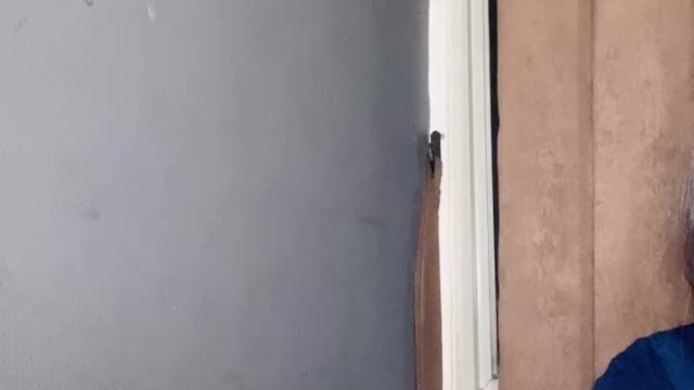 2025-01-13-220733 sheilla ID 1858061355669110786 Hot51