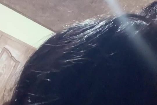 2024-11-18-010101 Cecehvia ID: 1720152820989468674 Hot51